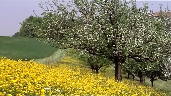 산드라 노바의 전체 영화: 양념을 먹고 섹스를 즐겨요