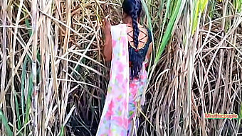 18+ Indian Teen Gets Her Pussy Licked In The Sugarcane Field