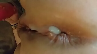 Một Bộ Sưu Tập Các Video Creampie Hậu Môn