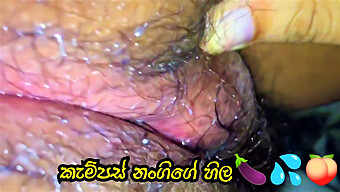 Sri Lankan Slut Enjoys Big Ass And Orgasmic Pleasure