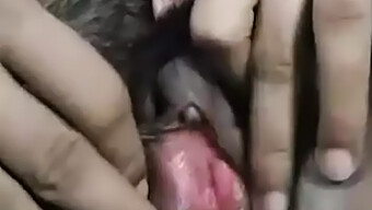 Hd Video Of A Young Indian Woman'S Solo Play